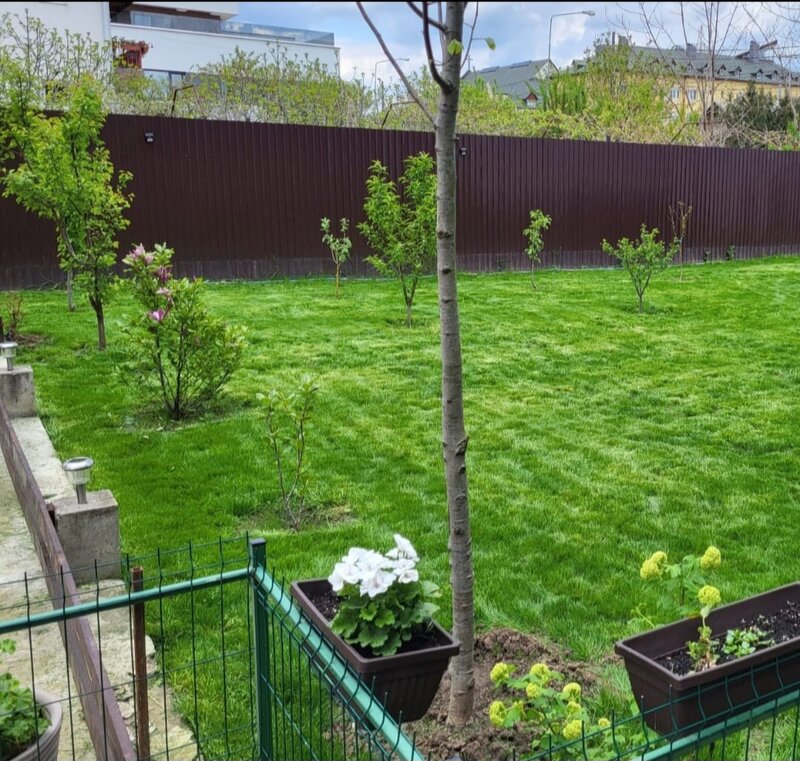 Soseau Oltenitei intrarea in Popesti Leordeni